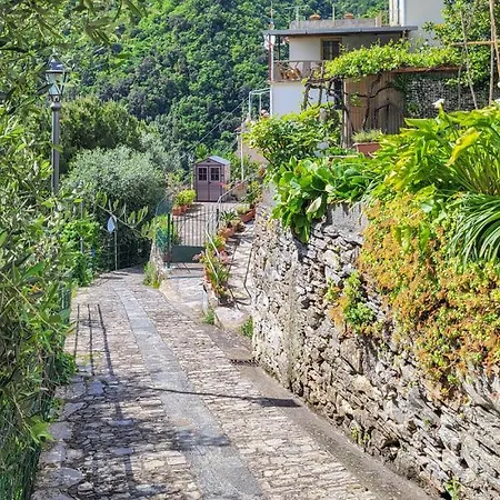 Zoagli Dream Apartment *