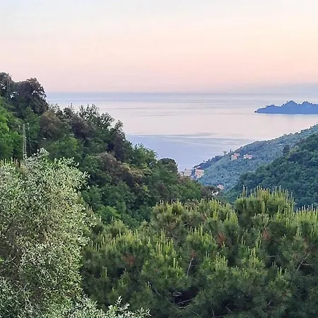 Zoagli Dream Semorile