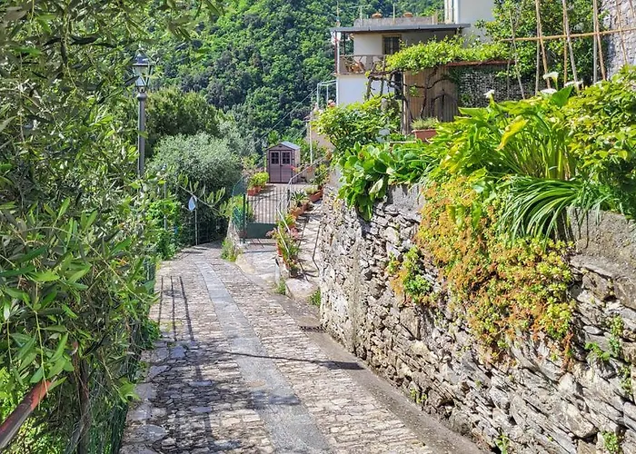 Zoagli Dream 아파트 *