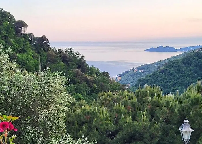 Zoagli Dream Semorile