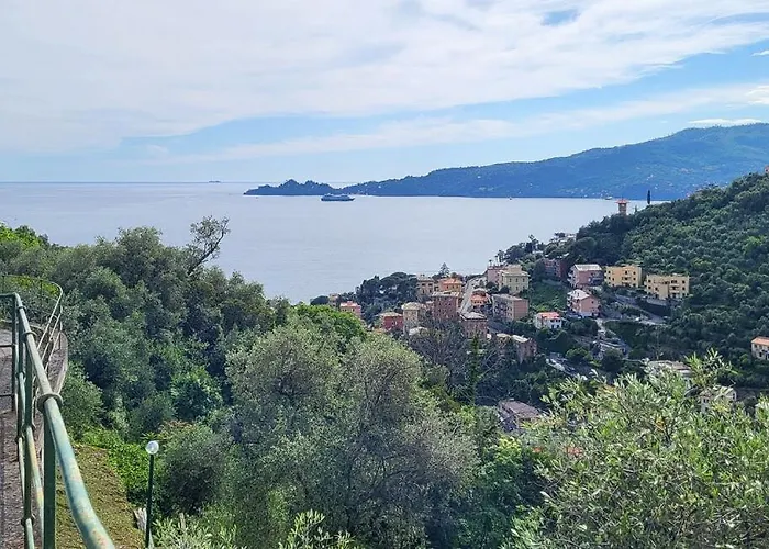 Zoagli Dream Appartamento *