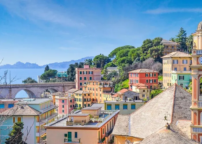 Zoagli Dream * Semorile